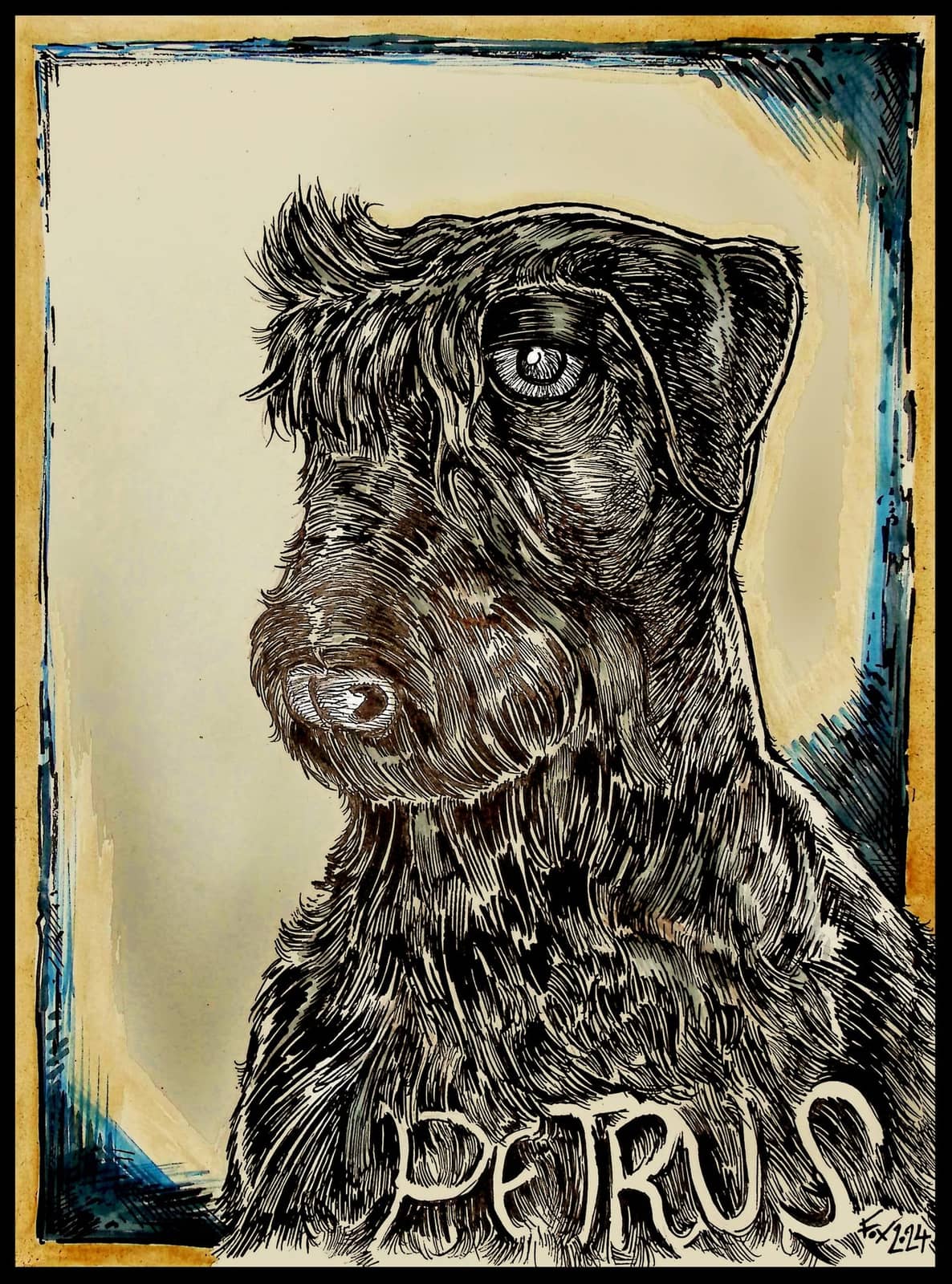 Portrait de Pétrus le cesky terrier