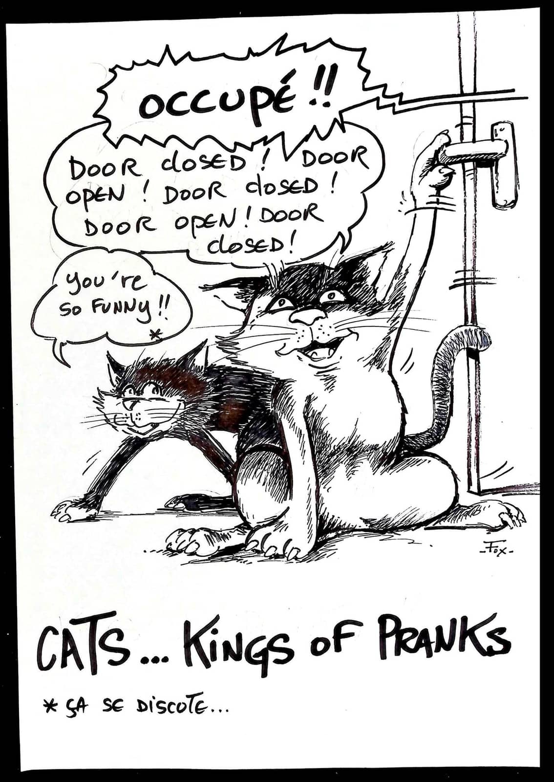 Les chats, rois des farces