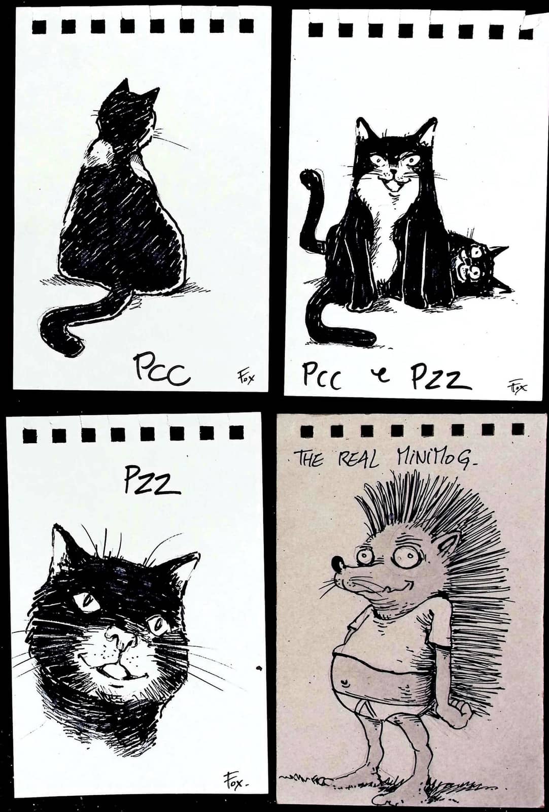 Une semaine de dessins de chats