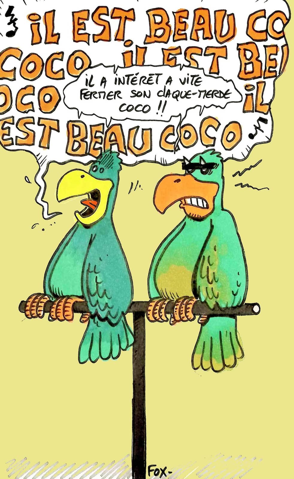 Deux perroquets complotent sur Coco