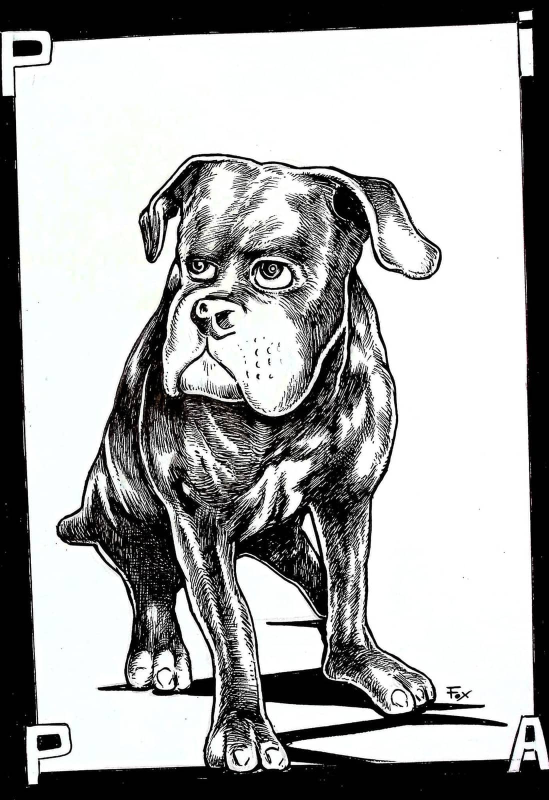 Portrait de bulldog en encre