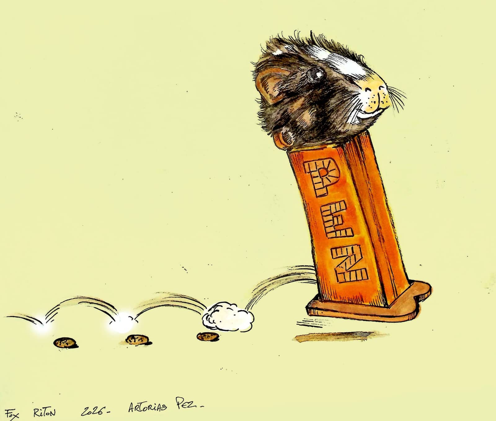 Chat sortant d'une boîte orange