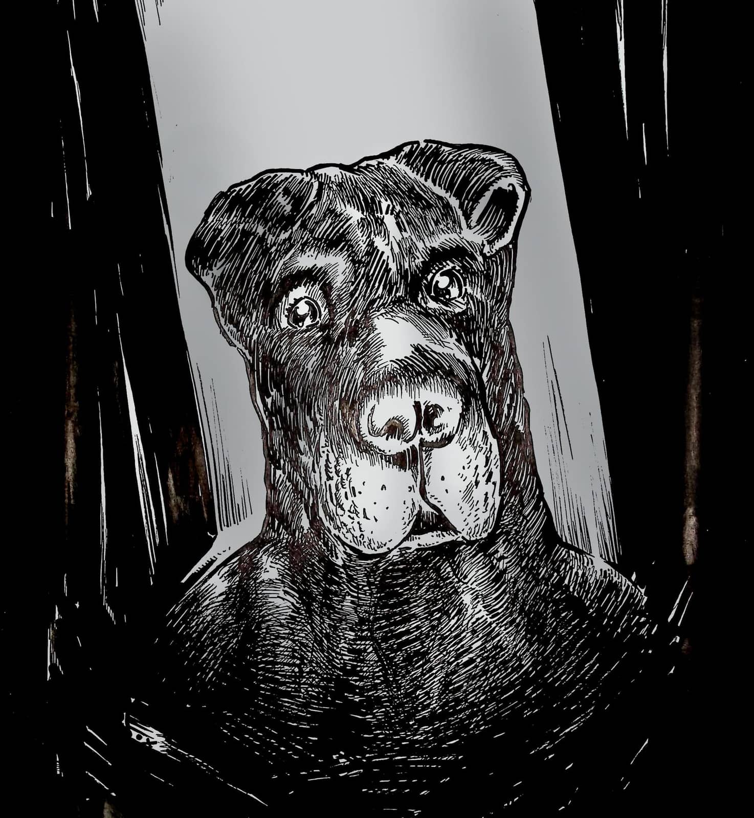 Portrait expressif d'un chien