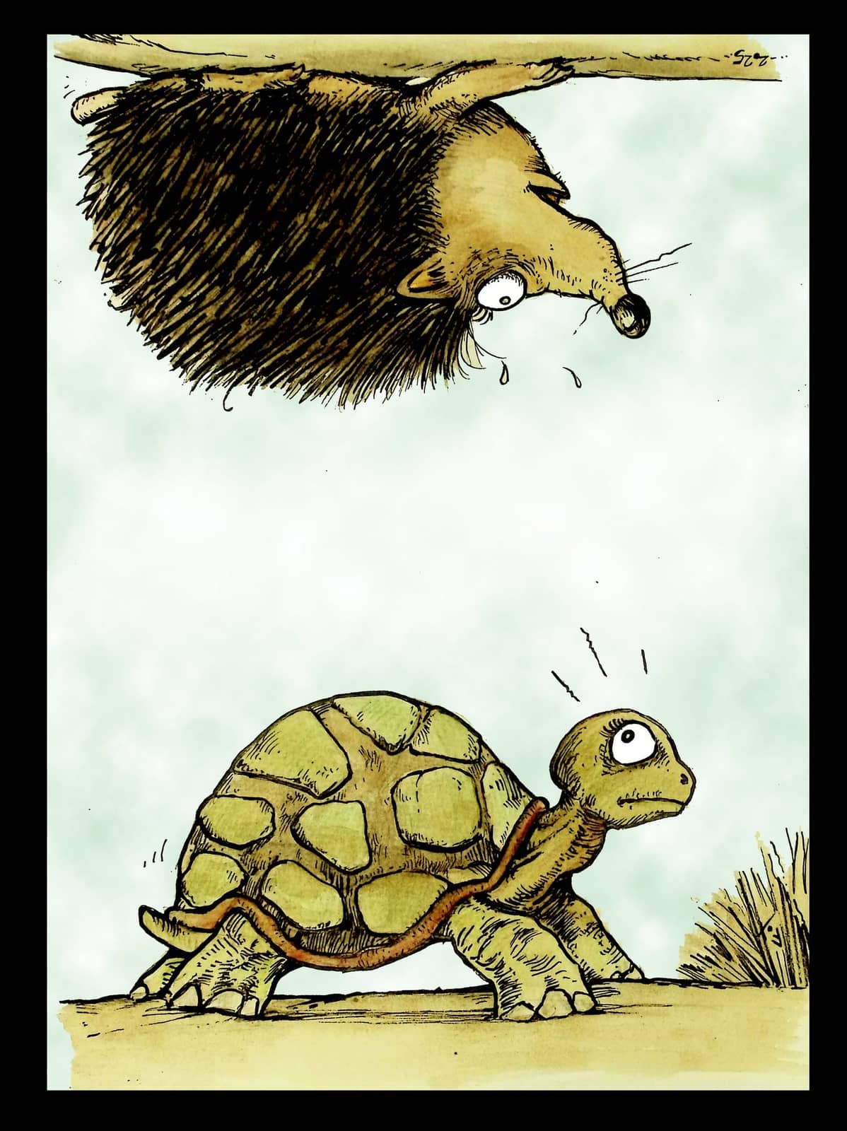 Hérisson et tortue absurde
