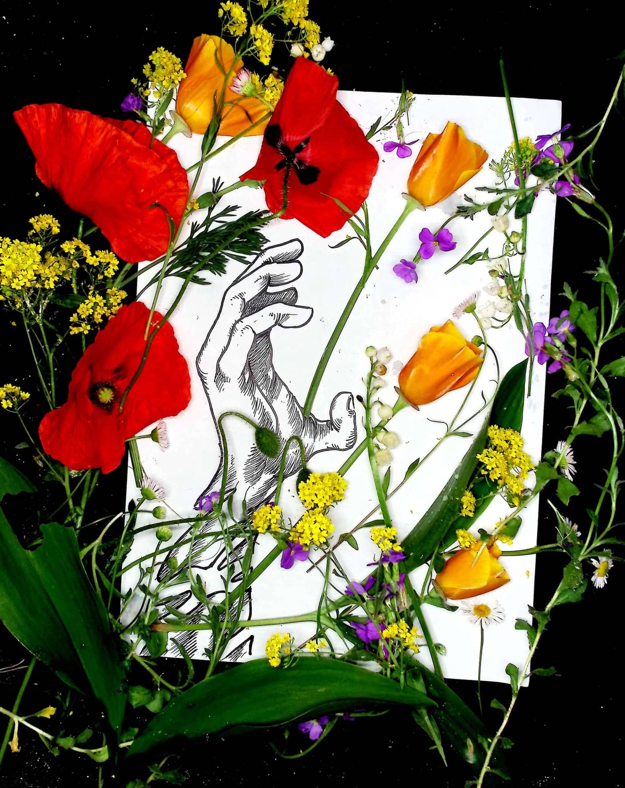 Main caressant des fleurs