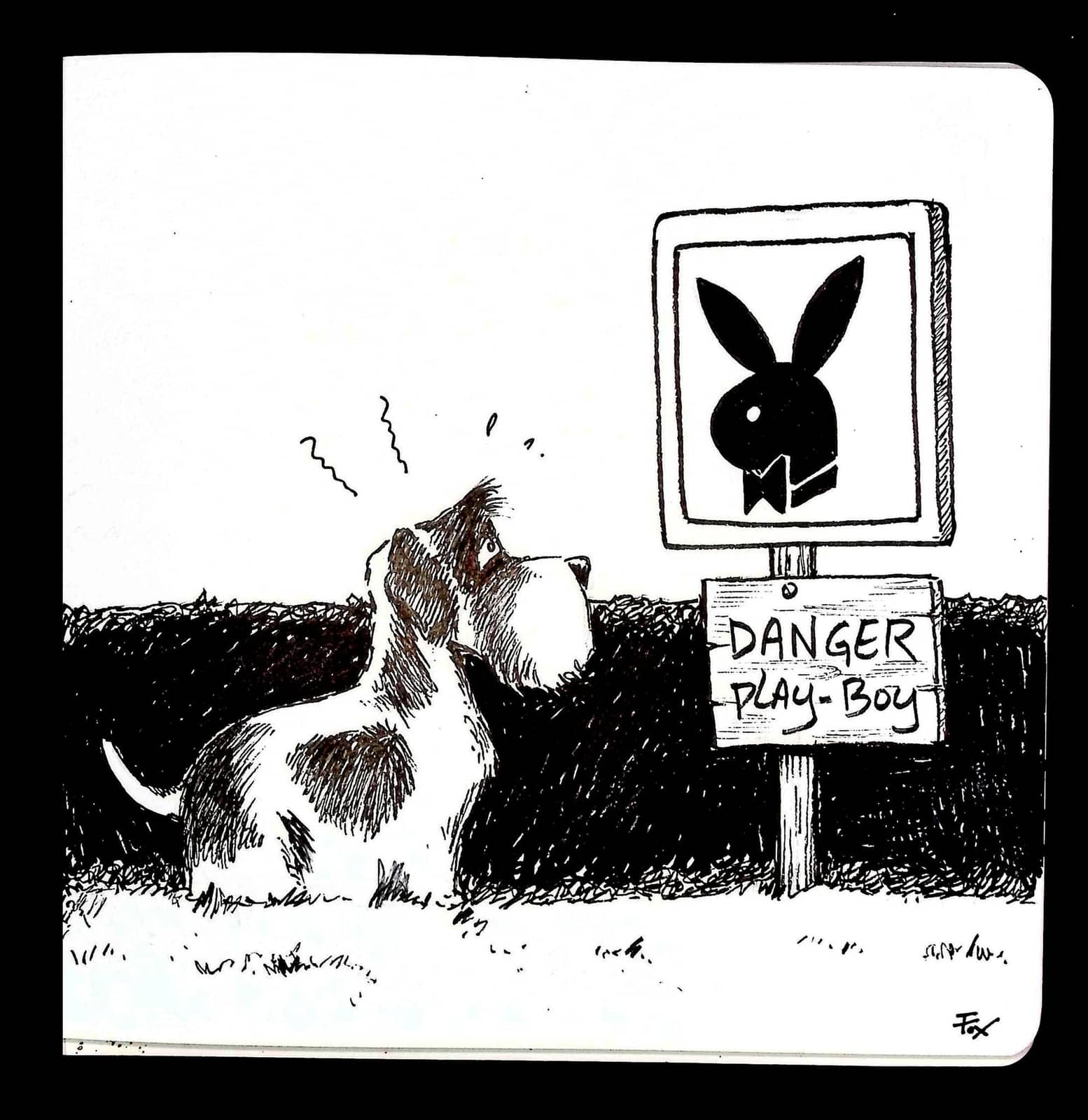 Chien face au lapin Playboy
