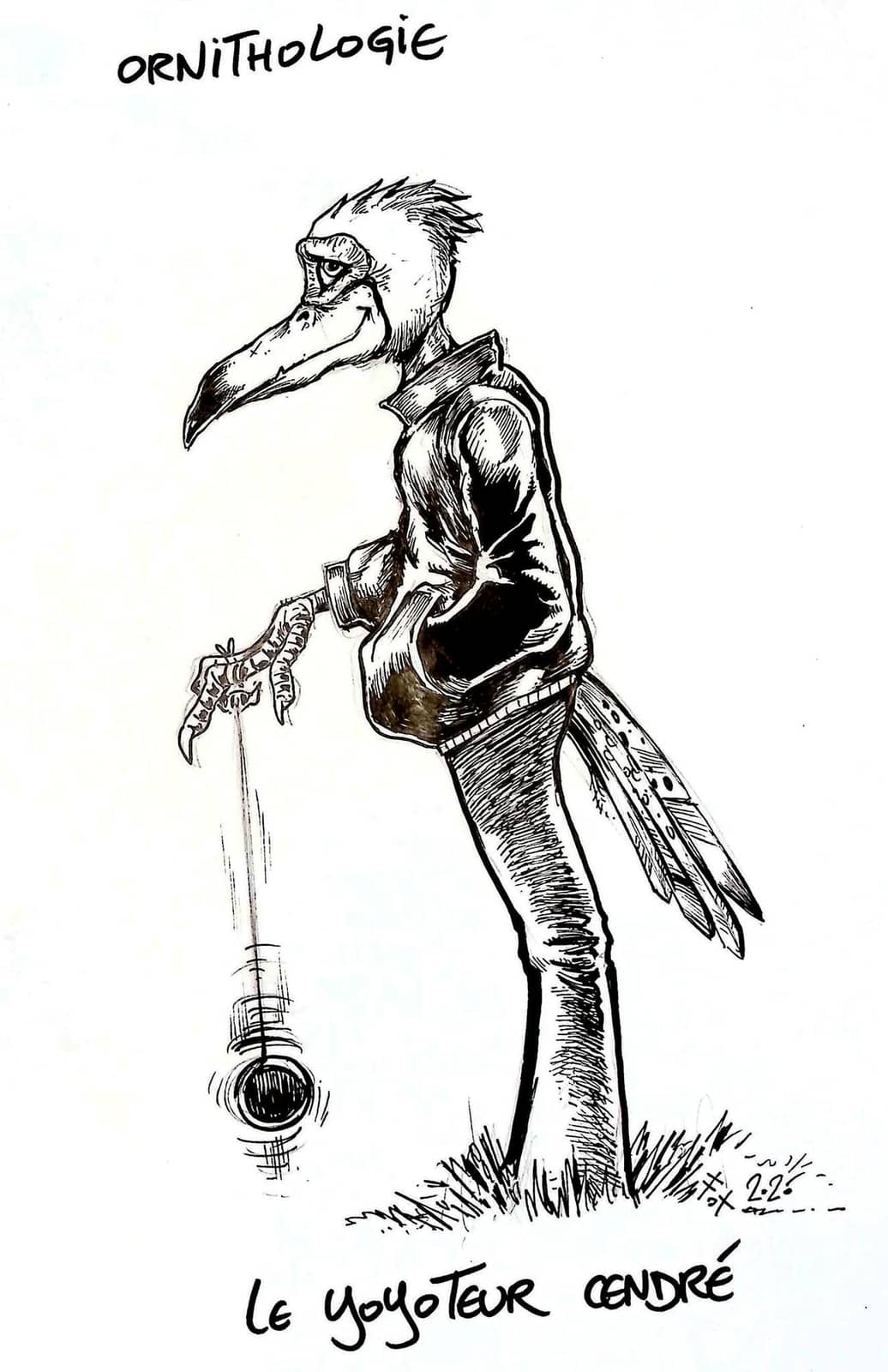 Ornithologie - Yoyo de l'oiseau