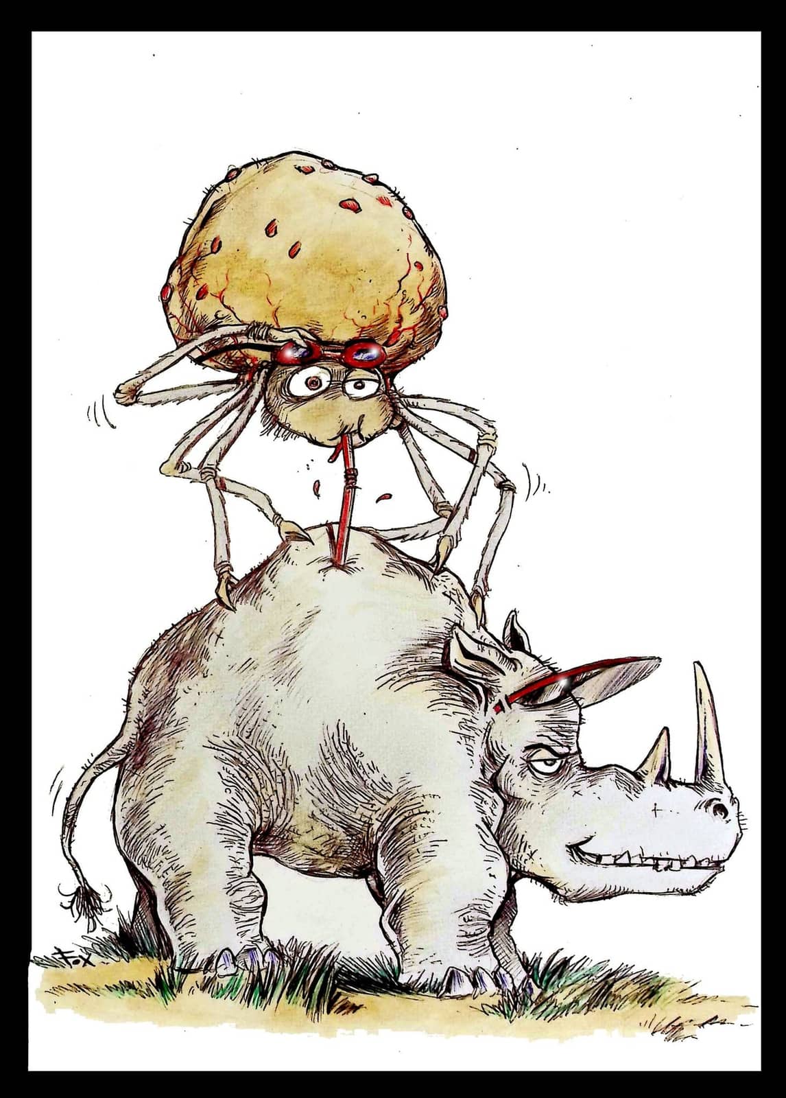 La tique du rhinocéros