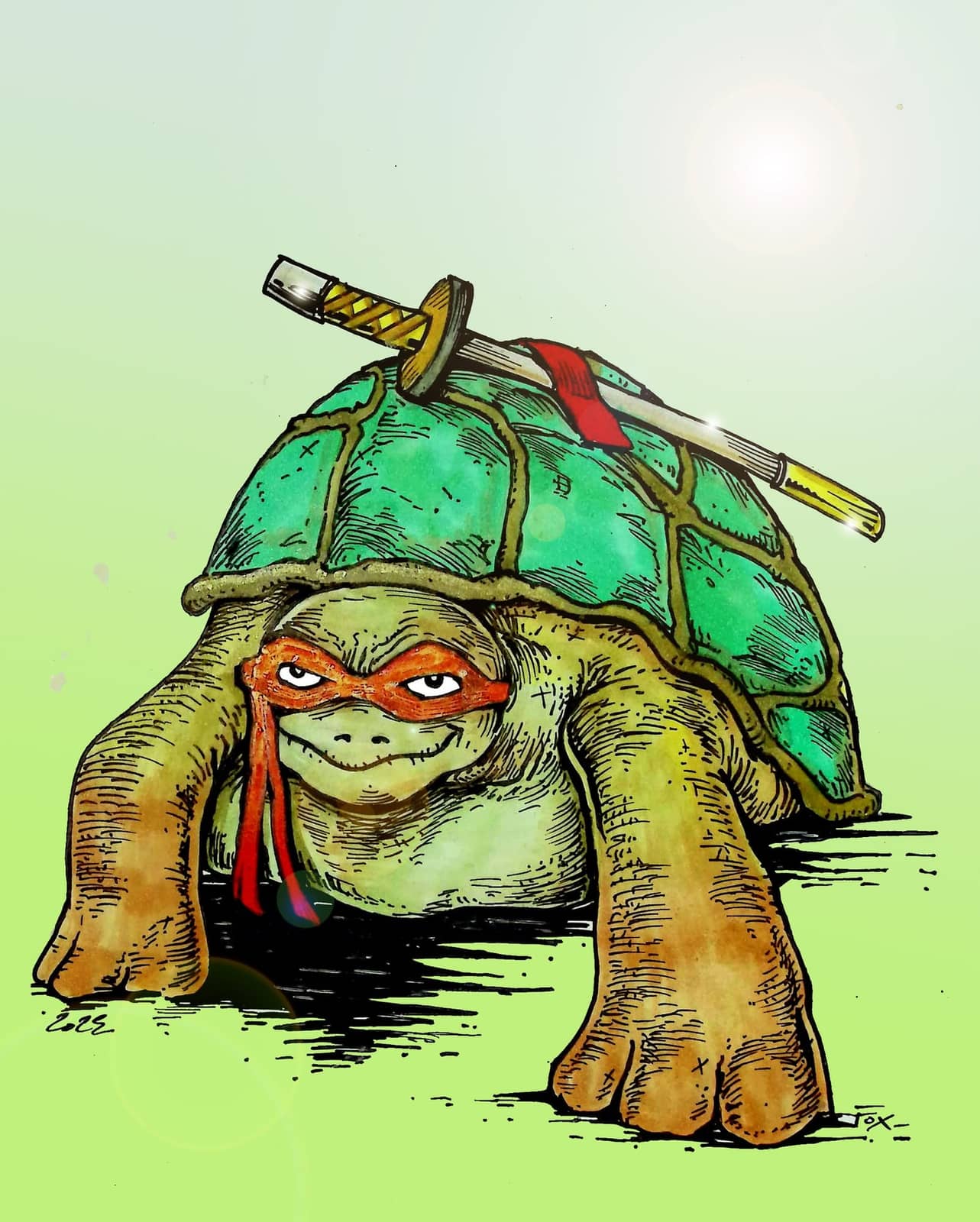 Tortue ninja colorée armée