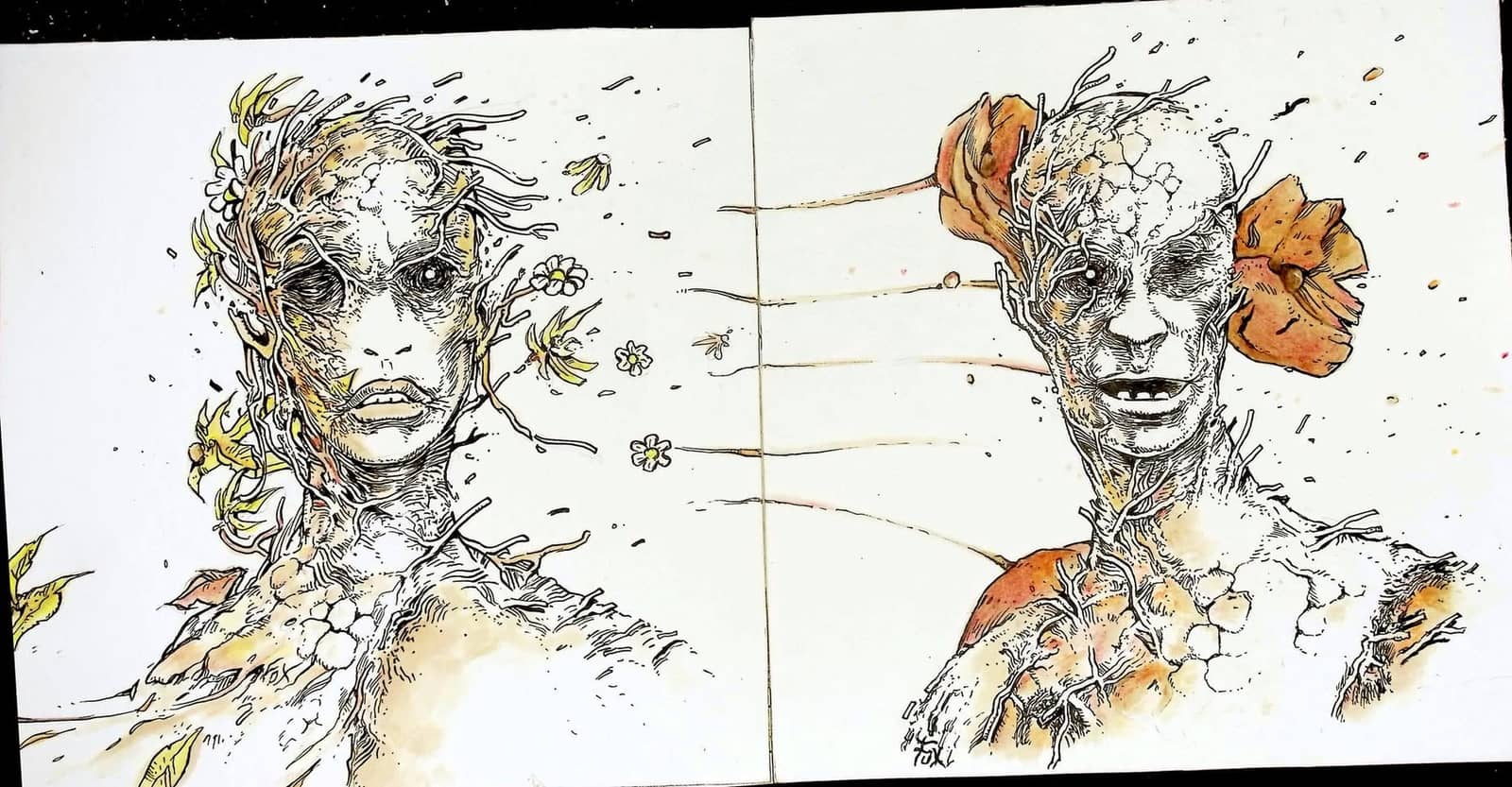 Visages floraux en fusion Nature